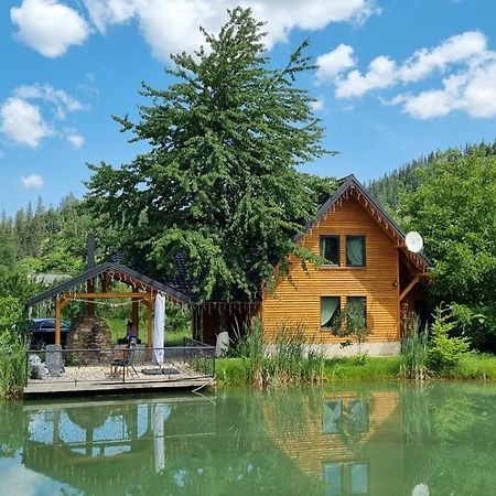 Moonlake Chalet Gainesti 外观 照片