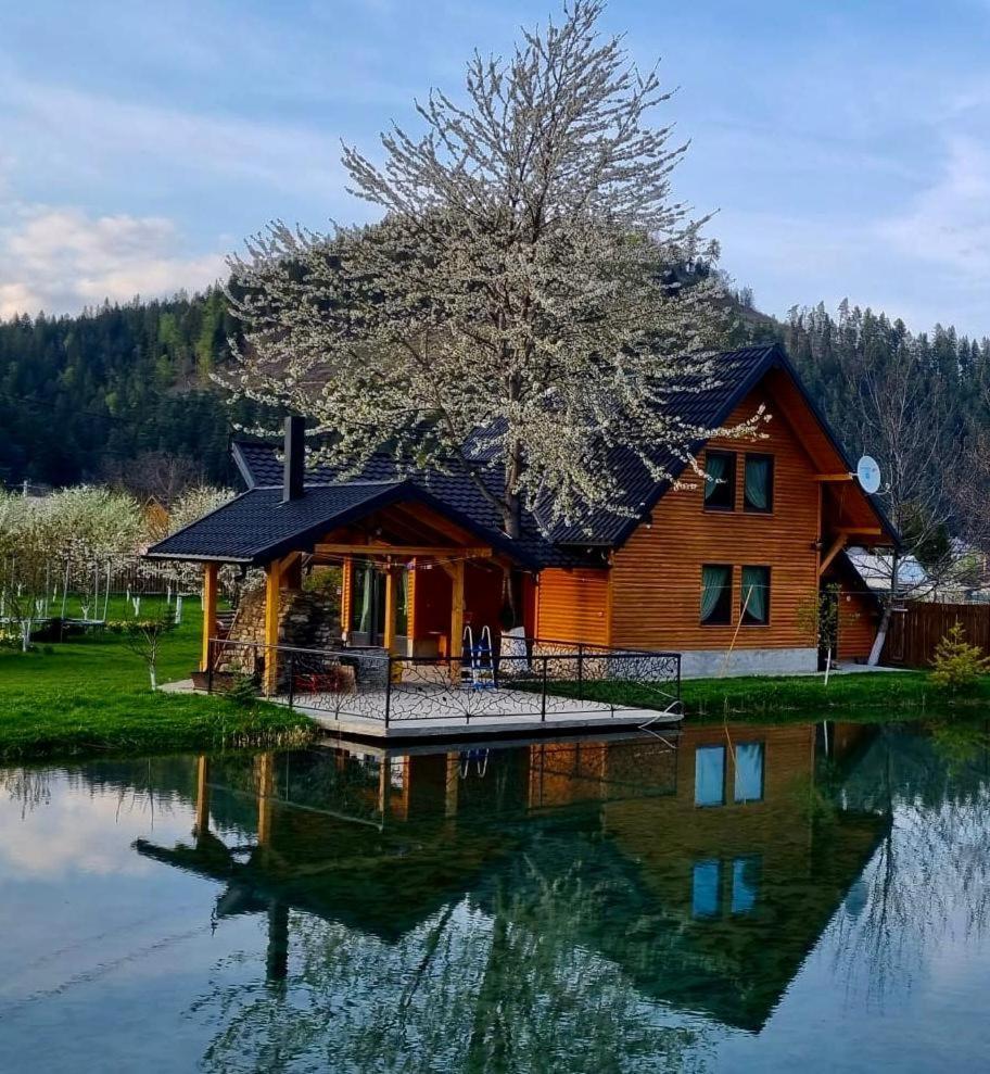 Moonlake Chalet Gainesti 外观 照片