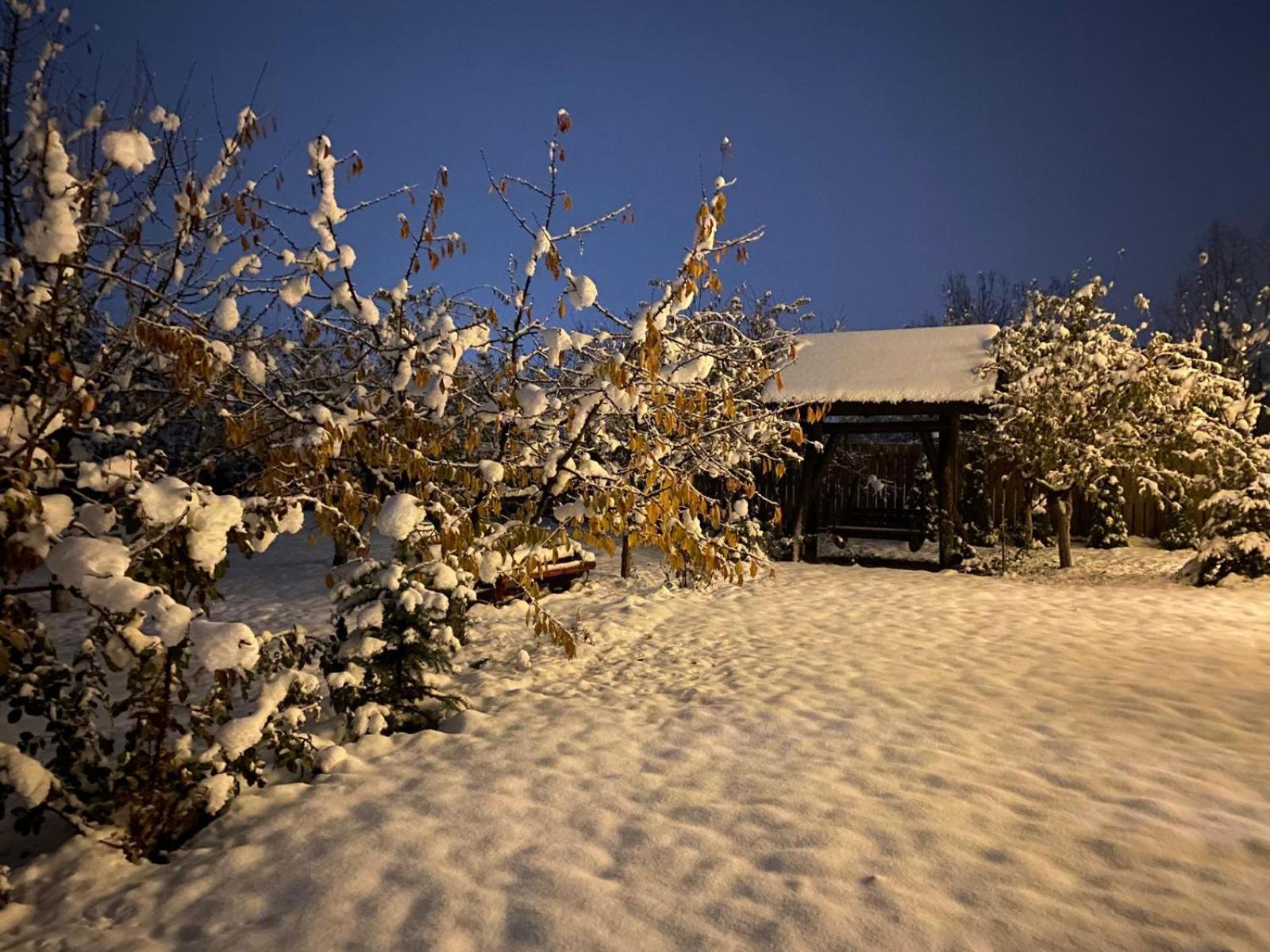 Moonlake Chalet Gainesti 外观 照片