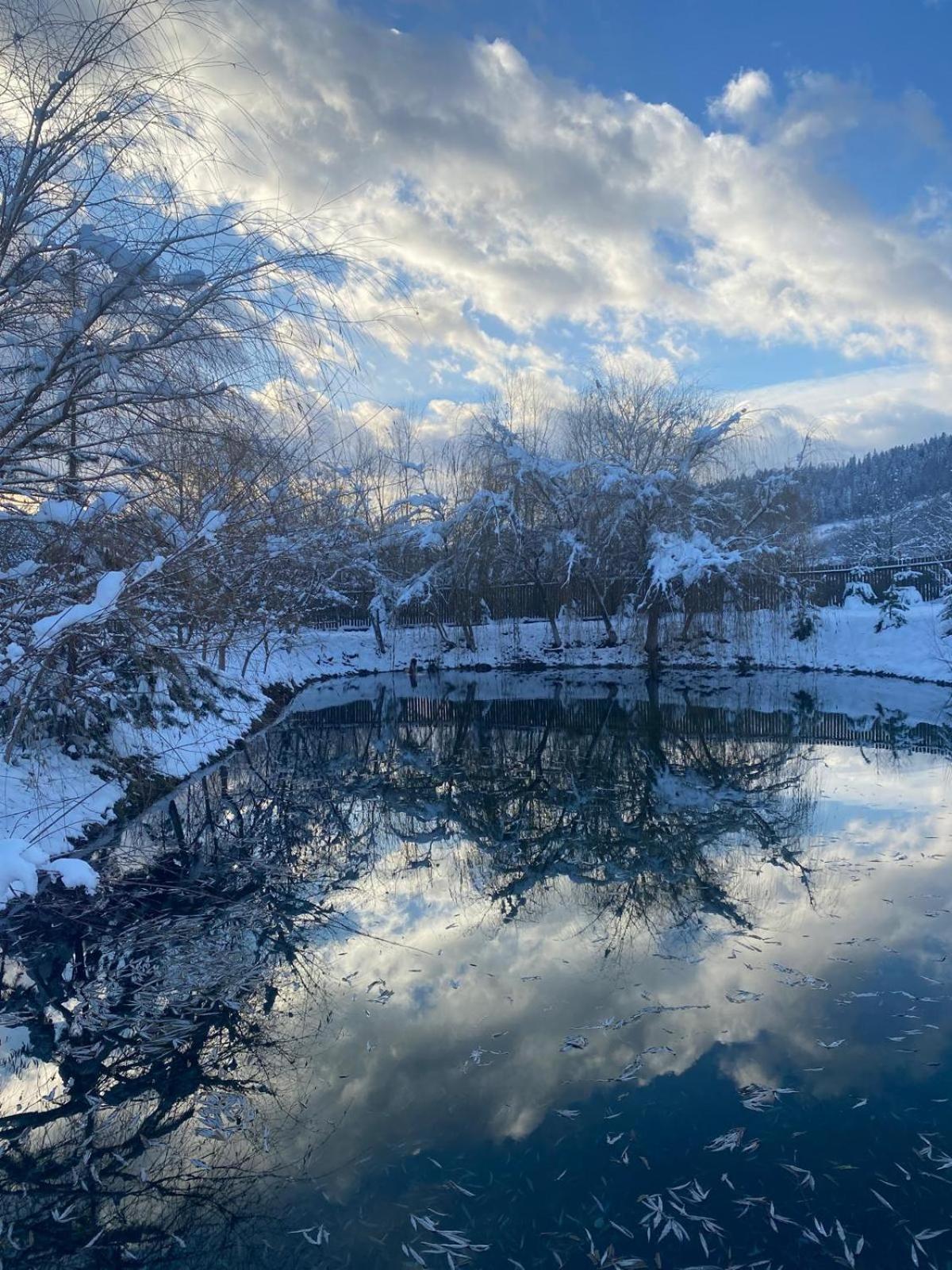 Moonlake Chalet Gainesti 外观 照片