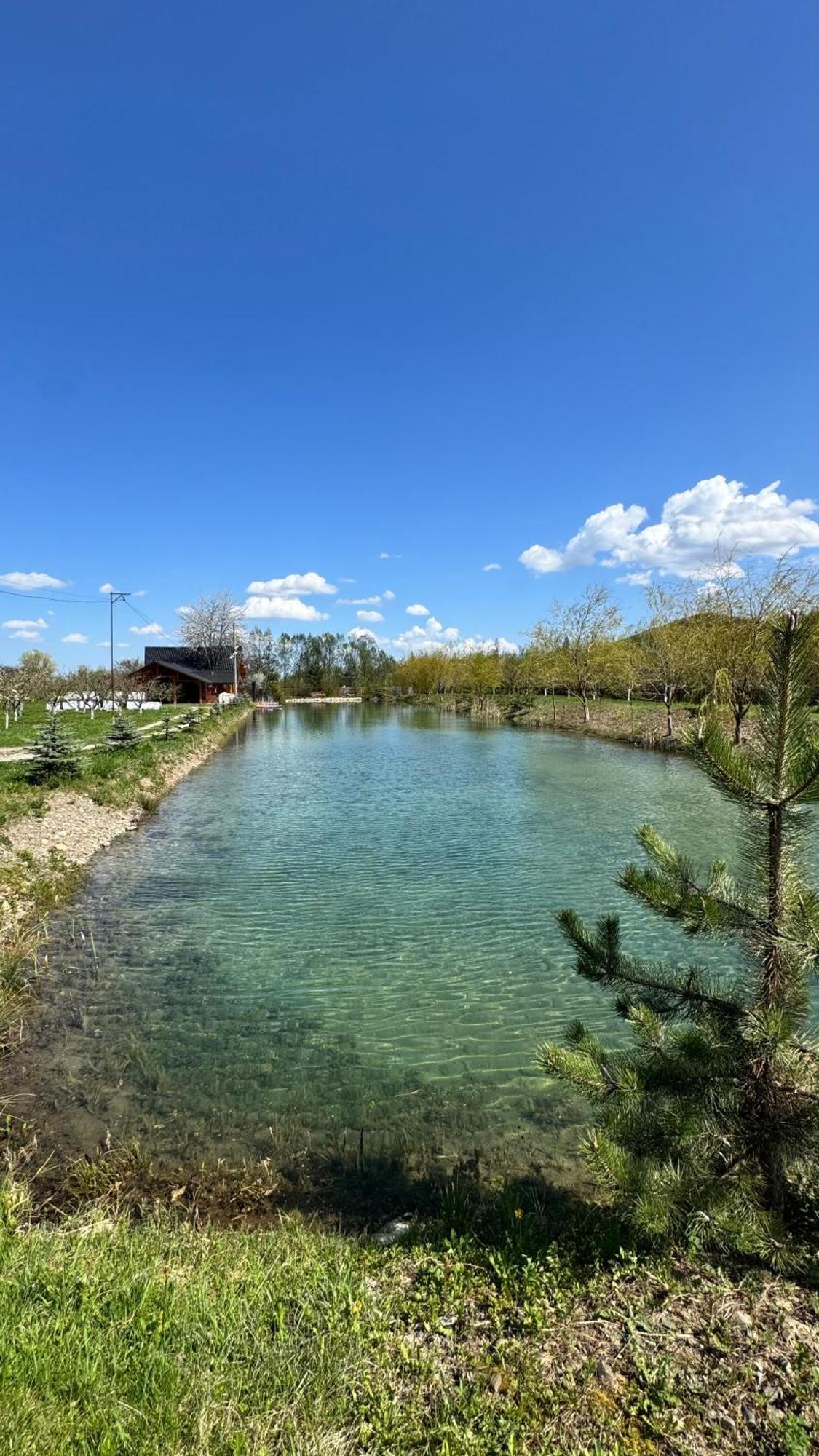 Moonlake Chalet Gainesti 外观 照片